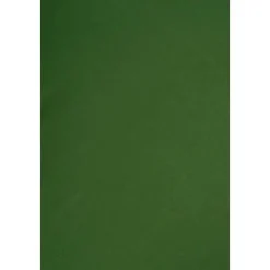 Amazonas - Tarp Traveller grün