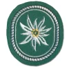 ASMC - Abzeichen 1. Gebirgsdivision Textil