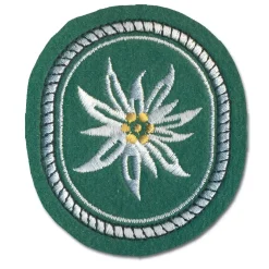 ASMC - Abzeichen 1. Gebirgsdivision Textil