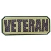 ASMC - 3D Patch Veteran