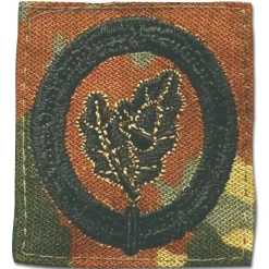 Bundeswehr Original - Abzeichen BW Einzelkämpfer