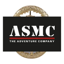 Bundeswehr Original - Leistungsabzeichen BW Metall