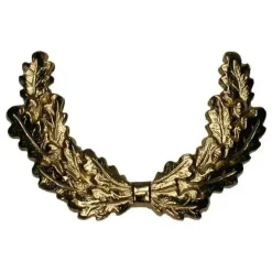 Bundeswehr Original - Schulterklappenauflage BW Dienstanzug Eichenlaub