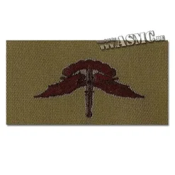 JR Emblem Co. - Abzeichen US Freefall Halo Textil desert