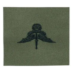 JR Emblem Co. - Abzeichen US Freefall Halo Master Textil