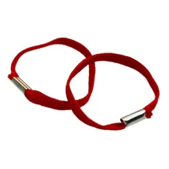 NfD - BW Abzeichen Litzen 6 Paare