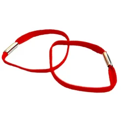 NfD - BW Abzeichen Litzen 6 Paare