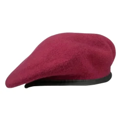 NfD - BW Kommando Barett