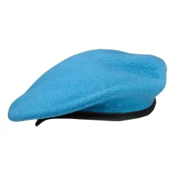 NfD - BW Kommando Barett