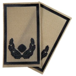 NfD - BW Rangabzeichen bedruckt Heer Klett für KBS SK