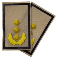 NfD - BW Rangabzeichen bedruckt Heer Klett für KBS SK