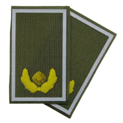 NfD - BW Rangabzeichen bedruckt Heer Klett für KBS SK