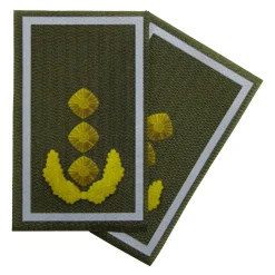 NfD - BW Rangabzeichen bedruckt Heer Klett für KBS SK