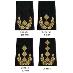 NfD - BW Rangabzeichen Heer