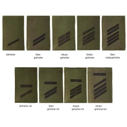 NfD - BW Rangabzeichen Heer Klett