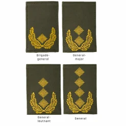 NfD - BW Rangabzeichen Heer Klett