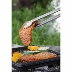 Petromax - Grill- und Kohlezange klein silberfarben